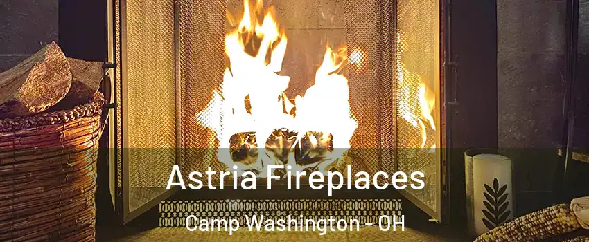 Astria Fireplaces Camp Washington - OH