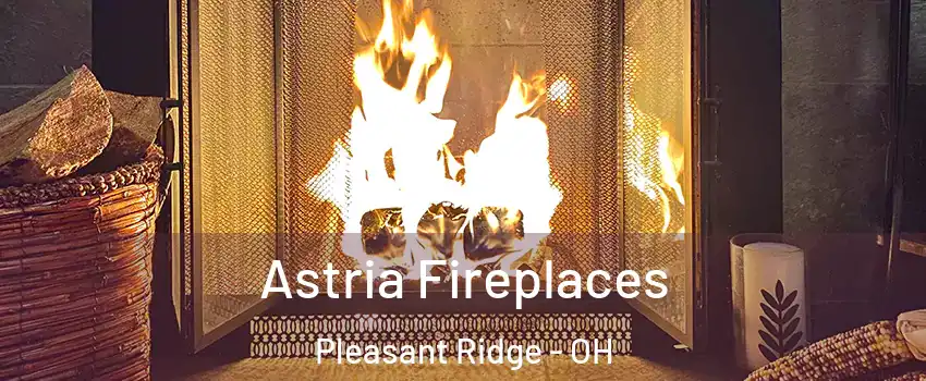 Astria Fireplaces Pleasant Ridge - OH