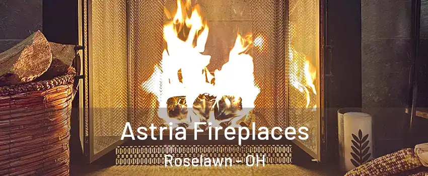 Astria Fireplaces Roselawn - OH