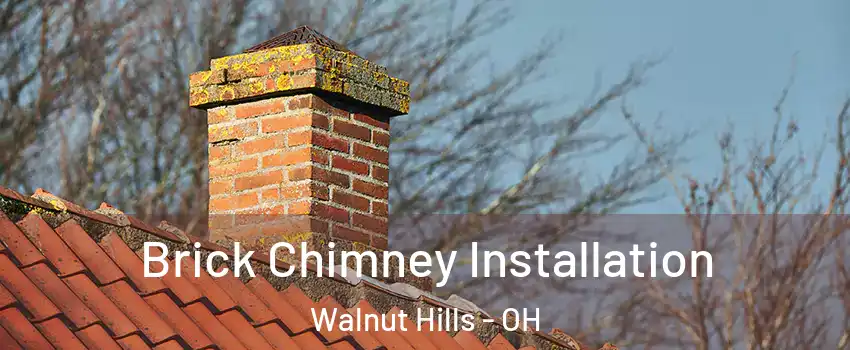 Brick Chimney Installation Walnut Hills - OH