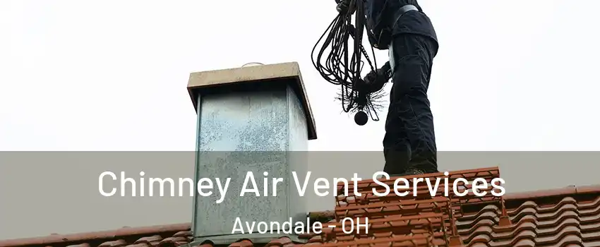 Chimney Air Vent Services Avondale - OH