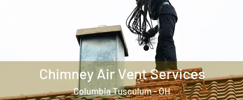 Chimney Air Vent Services Columbia Tusculum - OH