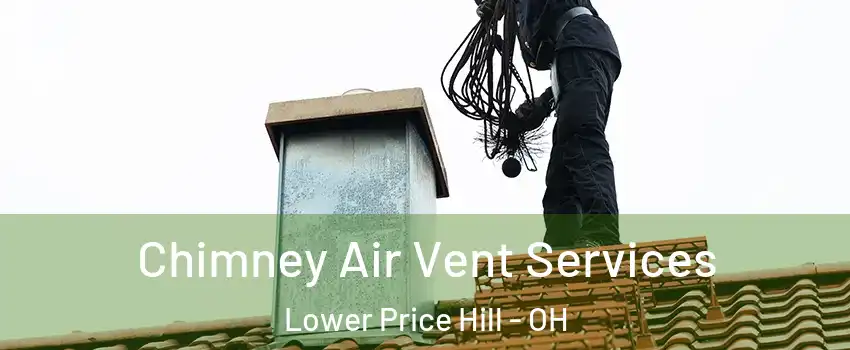 Chimney Air Vent Services Lower Price Hill - OH