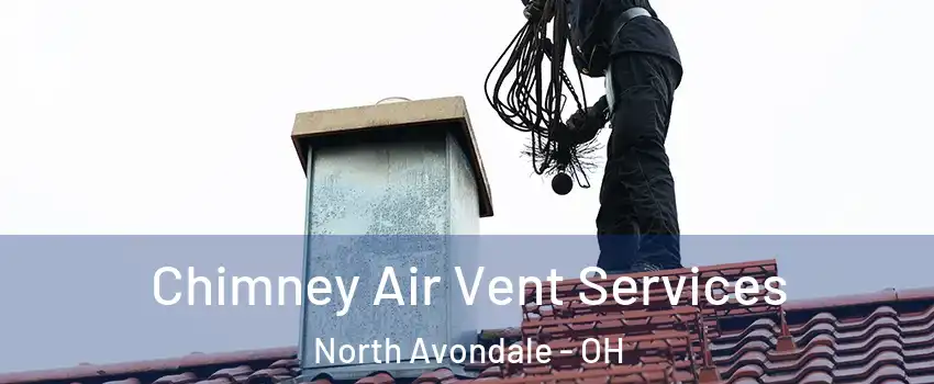 Chimney Air Vent Services North Avondale - OH