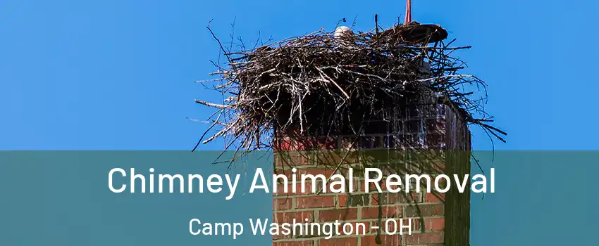 Chimney Animal Removal Camp Washington - OH