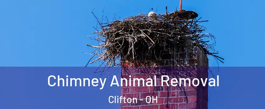 Chimney Animal Removal Clifton - OH