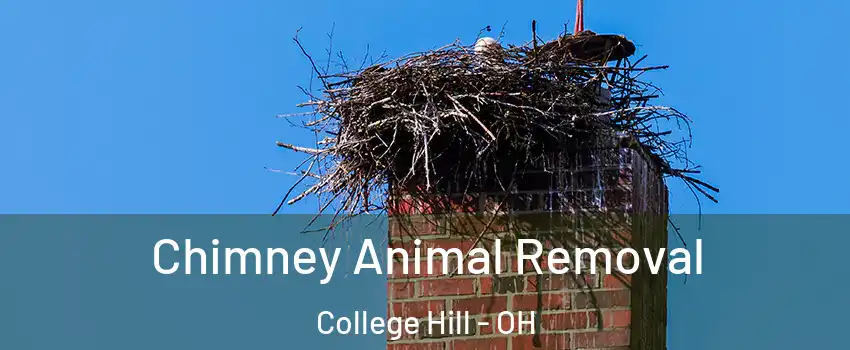 Chimney Animal Removal College Hill - OH