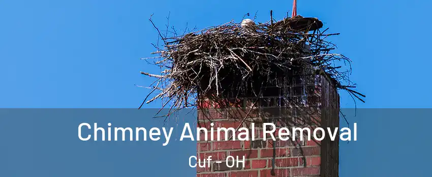 Chimney Animal Removal Cuf - OH