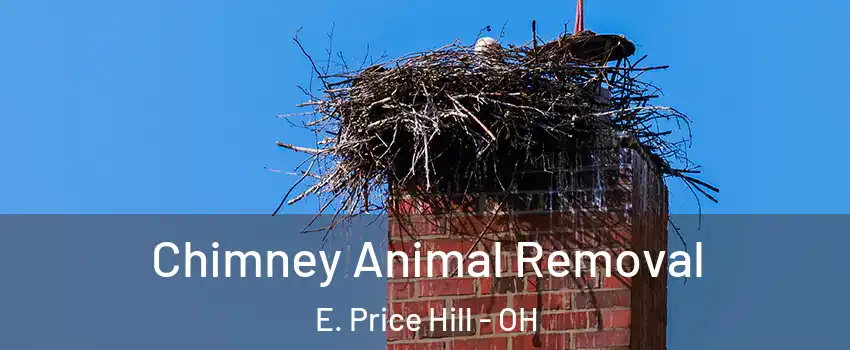 Chimney Animal Removal E. Price Hill - OH