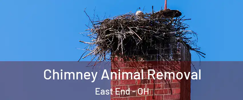 Chimney Animal Removal East End - OH