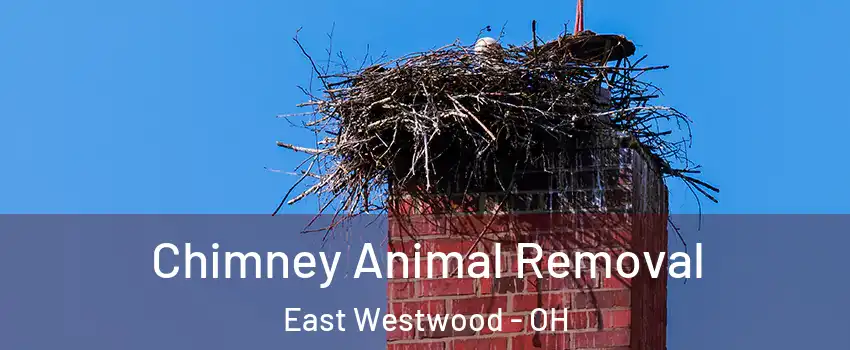 Chimney Animal Removal East Westwood - OH