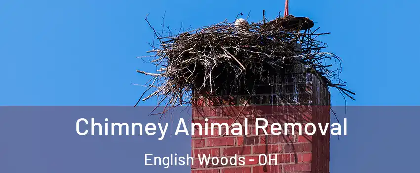 Chimney Animal Removal English Woods - OH