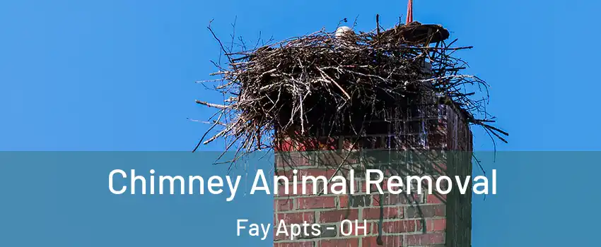 Chimney Animal Removal Fay Apts - OH