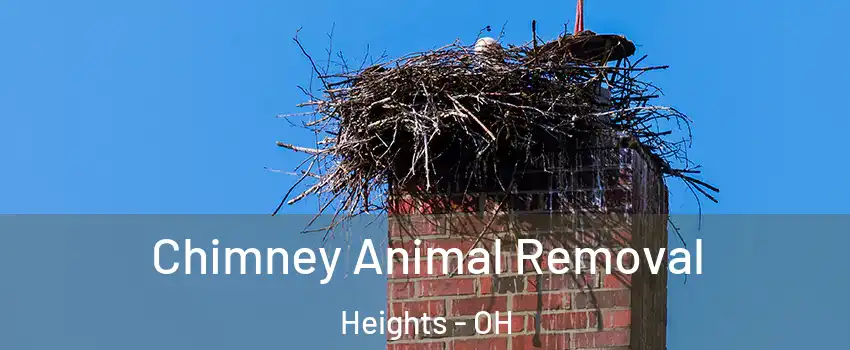 Chimney Animal Removal Heights - OH