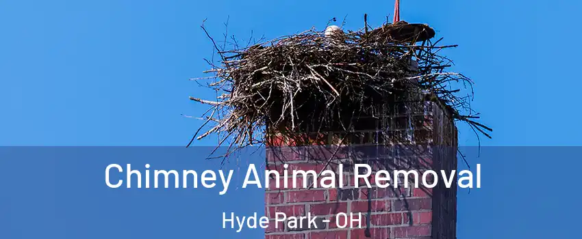 Chimney Animal Removal Hyde Park - OH