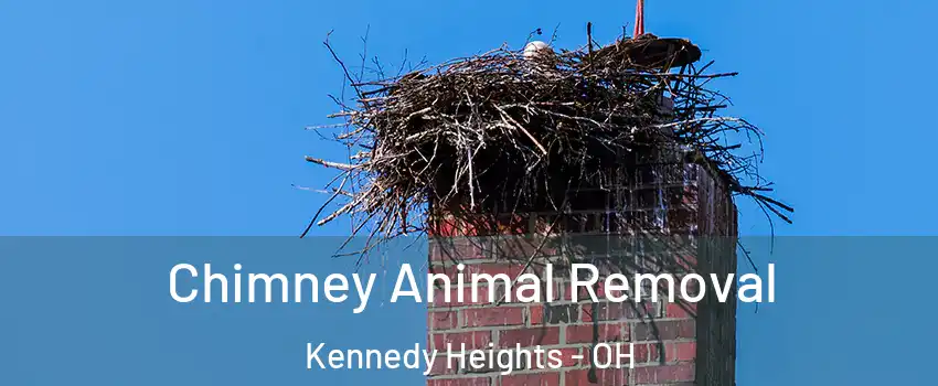 Chimney Animal Removal Kennedy Heights - OH