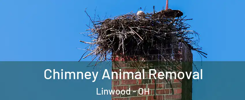 Chimney Animal Removal Linwood - OH