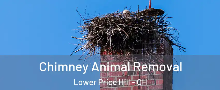 Chimney Animal Removal Lower Price Hill - OH