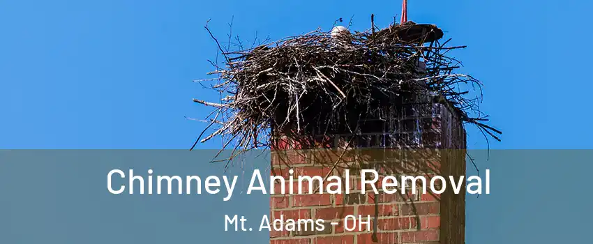 Chimney Animal Removal Mt. Adams - OH