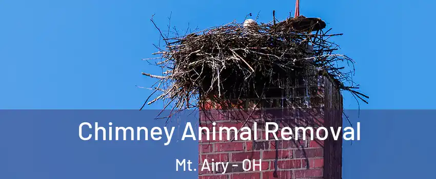 Chimney Animal Removal Mt. Airy - OH