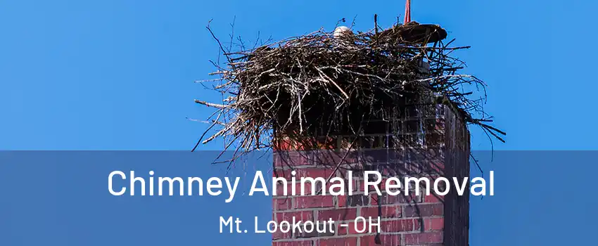 Chimney Animal Removal Mt. Lookout - OH