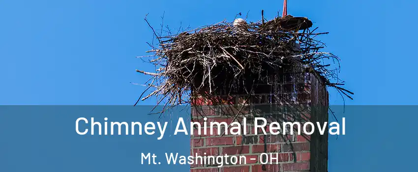 Chimney Animal Removal Mt. Washington - OH