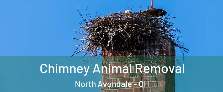 Chimney Animal Removal North Avondale - OH