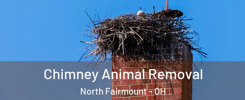 Chimney Animal Removal North Fairmount - OH