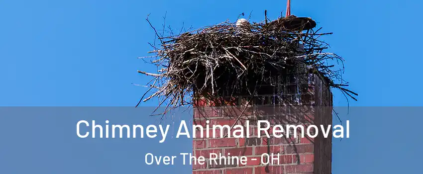 Chimney Animal Removal Over The Rhine - OH