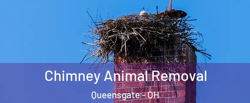 Chimney Animal Removal Queensgate - OH