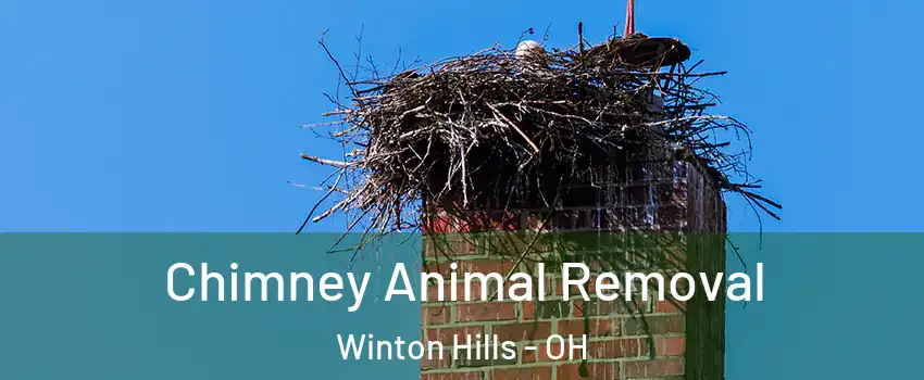 Chimney Animal Removal Winton Hills - OH