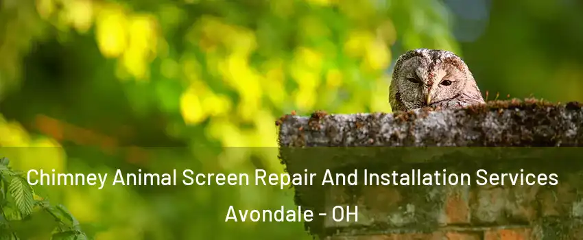 Chimney Animal Screen Repair And Installation Services Avondale - OH