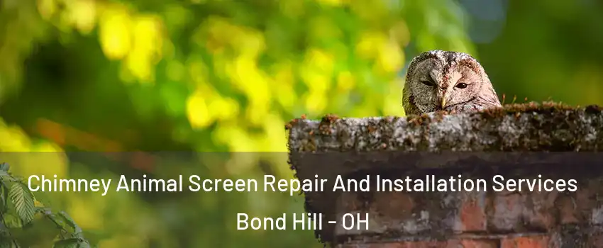 Chimney Animal Screen Repair And Installation Services Bond Hill - OH