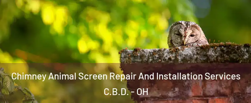 Chimney Animal Screen Repair And Installation Services C.B.D. - OH