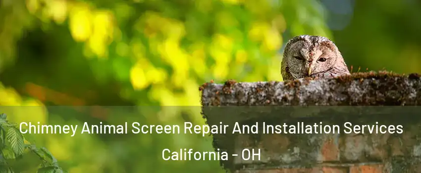 Chimney Animal Screen Repair And Installation Services California - OH