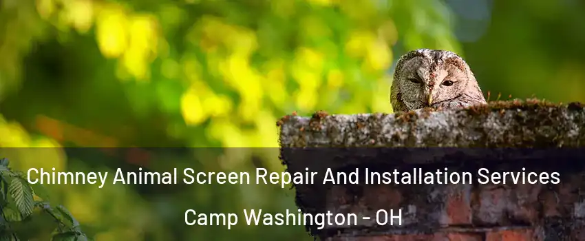 Chimney Animal Screen Repair And Installation Services Camp Washington - OH