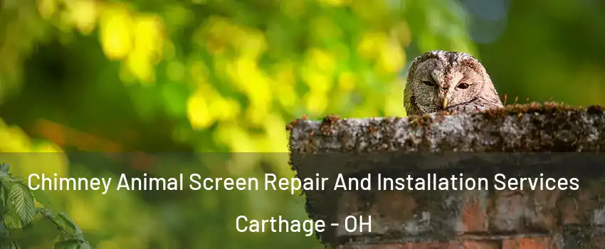 Chimney Animal Screen Repair And Installation Services Carthage - OH