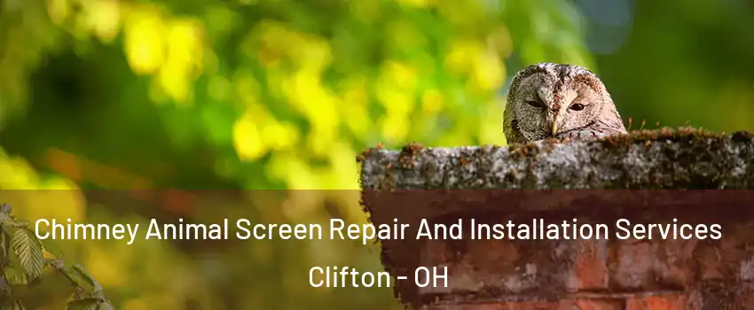 Chimney Animal Screen Repair And Installation Services Clifton - OH