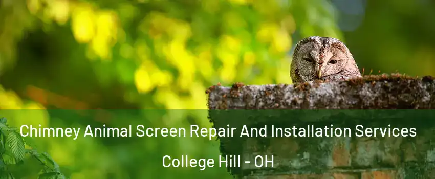 Chimney Animal Screen Repair And Installation Services College Hill - OH