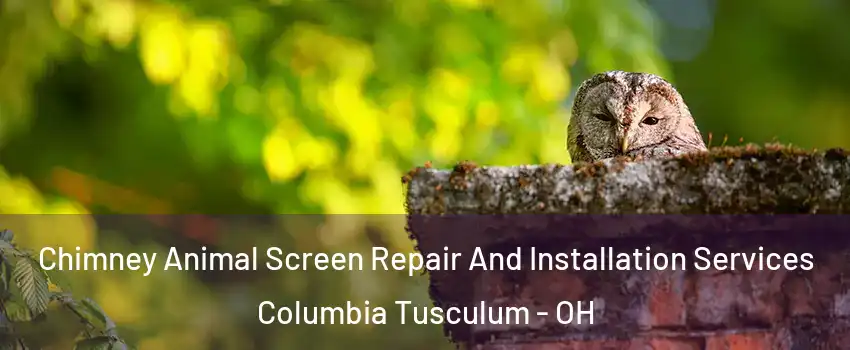 Chimney Animal Screen Repair And Installation Services Columbia Tusculum - OH