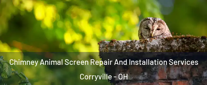 Chimney Animal Screen Repair And Installation Services Corryville - OH