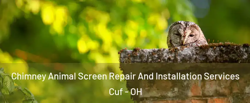 Chimney Animal Screen Repair And Installation Services Cuf - OH