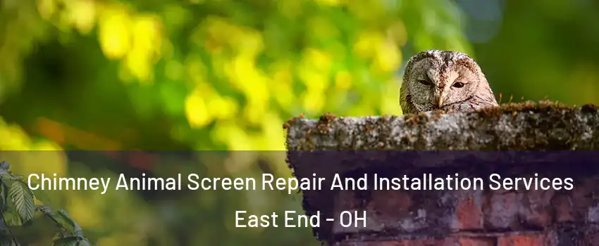 Chimney Animal Screen Repair And Installation Services East End - OH