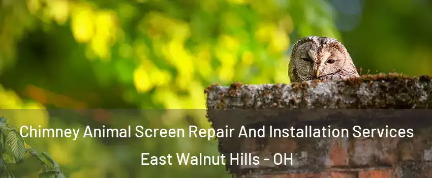 Chimney Animal Screen Repair And Installation Services East Walnut Hills - OH