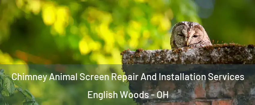 Chimney Animal Screen Repair And Installation Services English Woods - OH