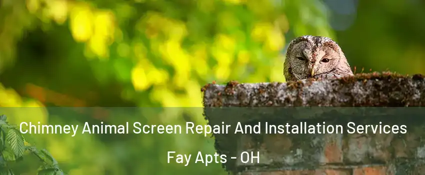 Chimney Animal Screen Repair And Installation Services Fay Apts - OH