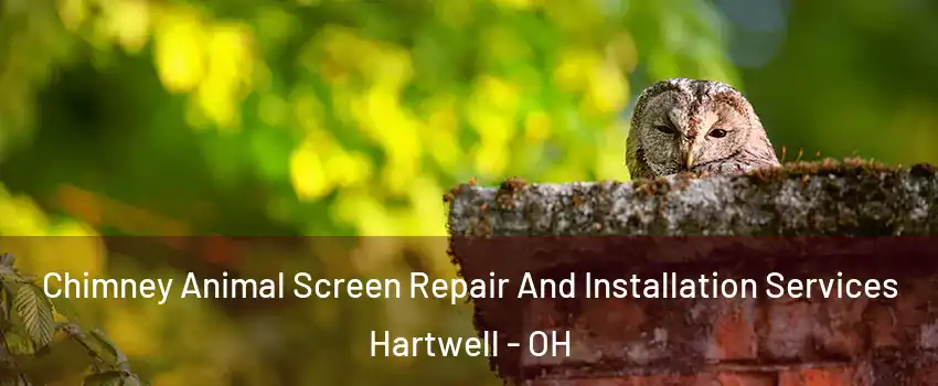 Chimney Animal Screen Repair And Installation Services Hartwell - OH