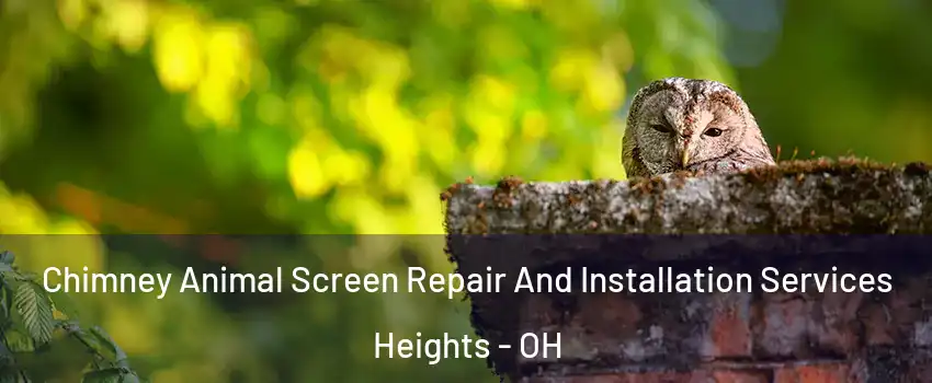 Chimney Animal Screen Repair And Installation Services Heights - OH