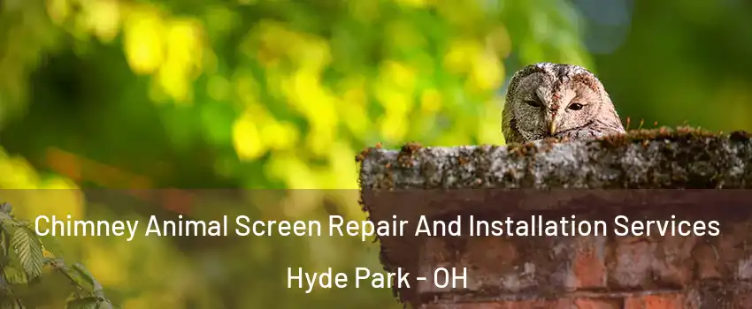 Chimney Animal Screen Repair And Installation Services Hyde Park - OH