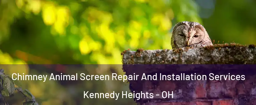 Chimney Animal Screen Repair And Installation Services Kennedy Heights - OH